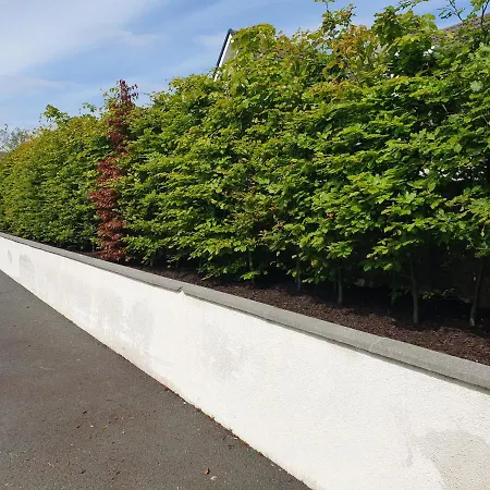 The Quay Lane, Quay Road Ballina (Mayo)